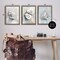 Stupell Industries Various Seashell Mirages 3pc Floating Frame Set By Ramona Murdock